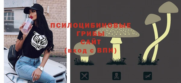 бошки Семилуки