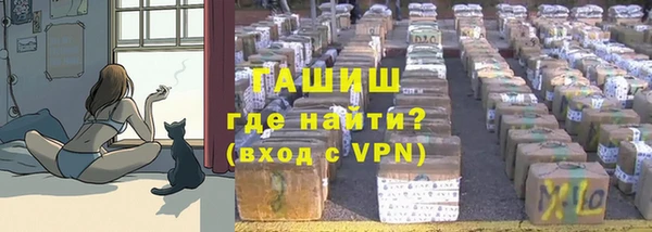 PSILOCYBIN Семёнов