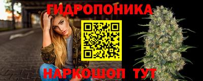 a pvp Аргун