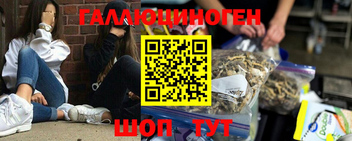 Галлюциногенные грибы ЛСД Балахна