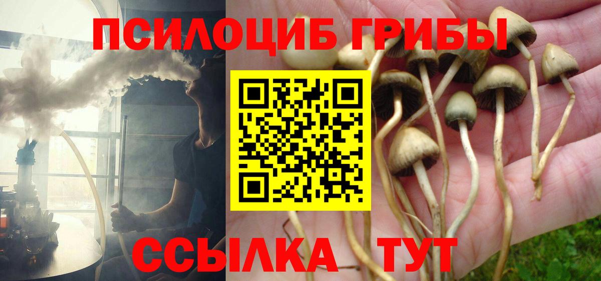 Псилоцибиновые грибы Magic Shrooms  Вход с VPN  Балахна  Галлюциногенные грибы Psilocybe 